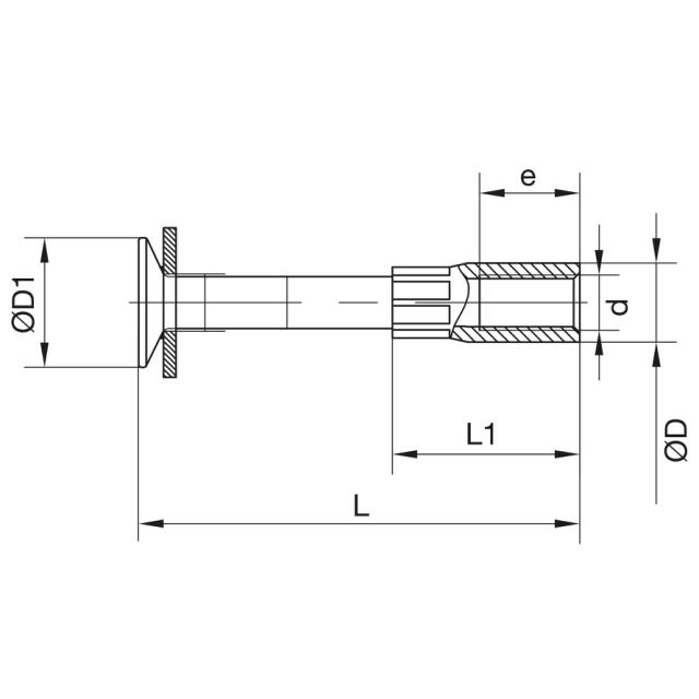 Fotankare-P M24x110, varmförzinkad