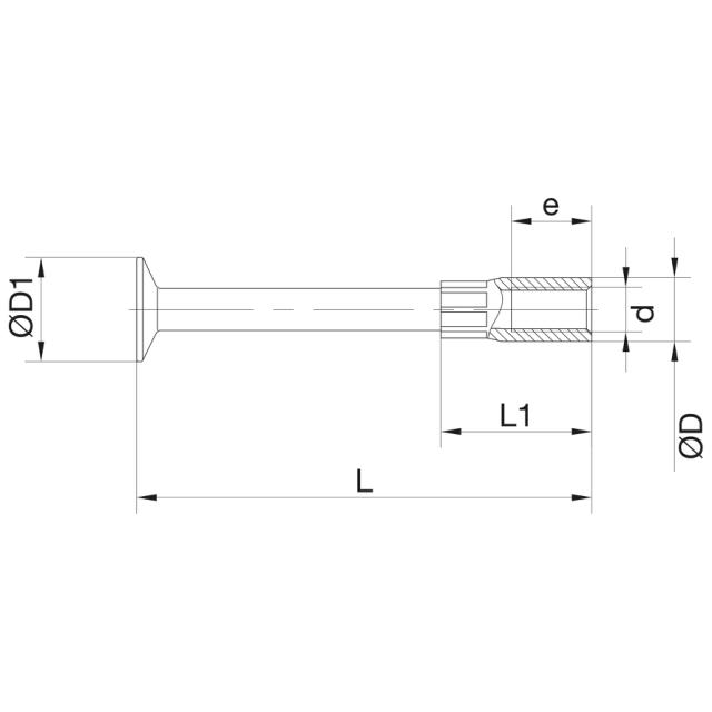Fotankare M12x100, syrafast A4